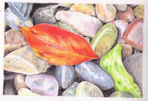 Pencil crayon.