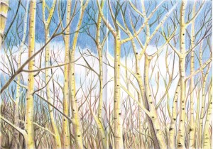 Pencil crayon.