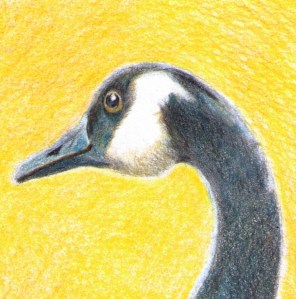 Image copyright B. Wanhill 2014