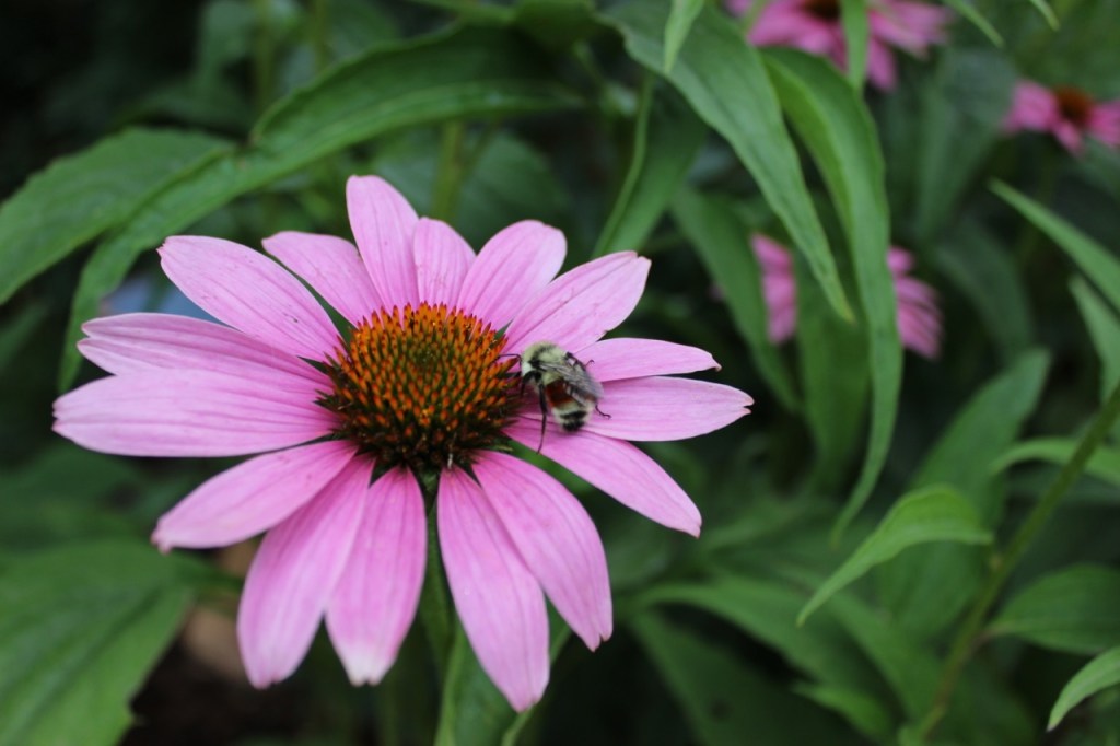 Image copyright B. Wanhill 2014