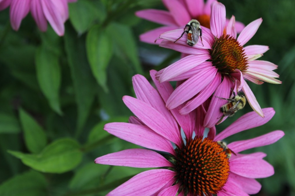 Image copyright B. Wanhill 2014