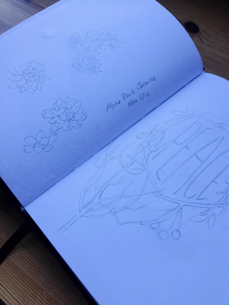 christmas-sketchbook-2