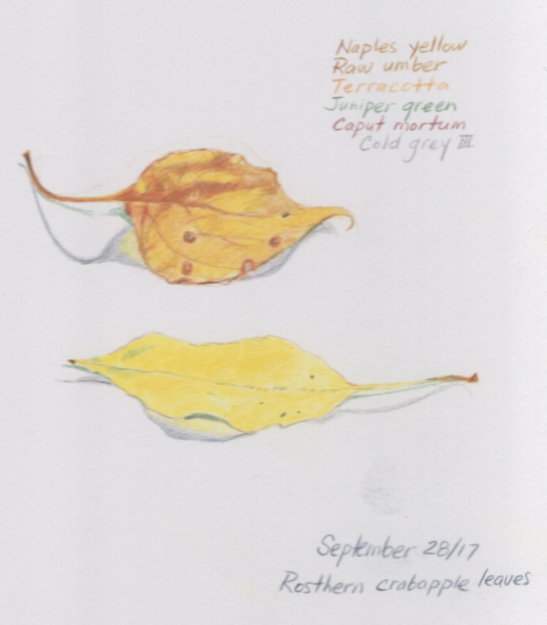 Sketchbook Sept 28_17